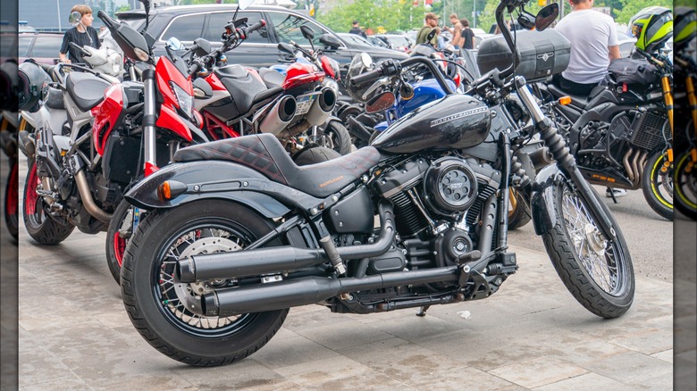 Harley-Davidson Softail in front of a group of motorcycles