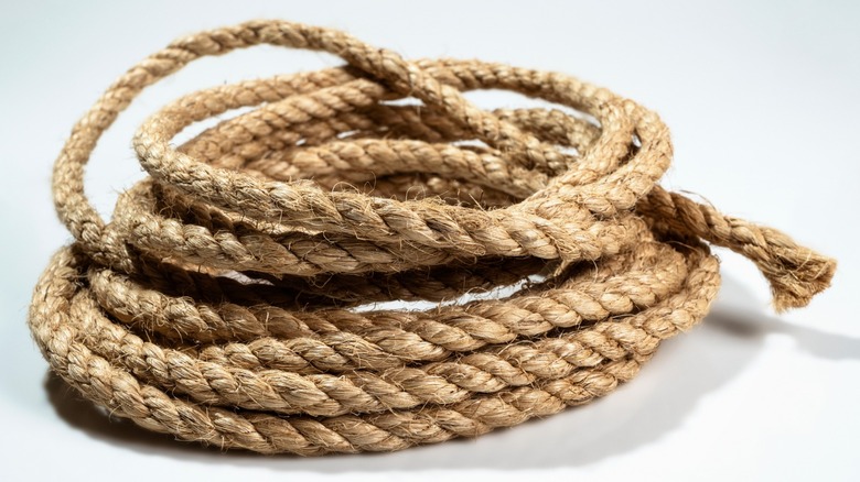 a piece of coiled rope