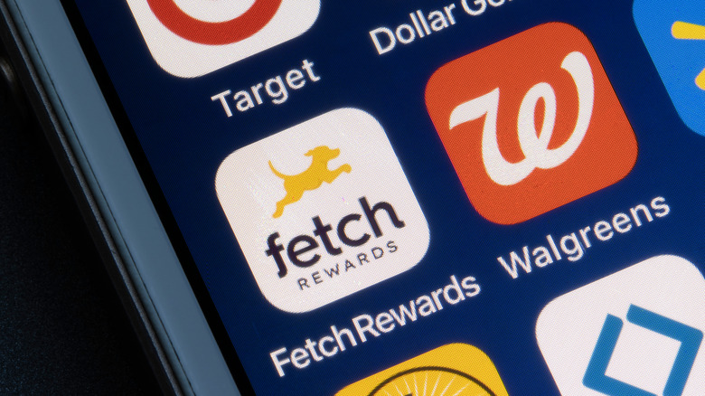 Fetch app icon on phone