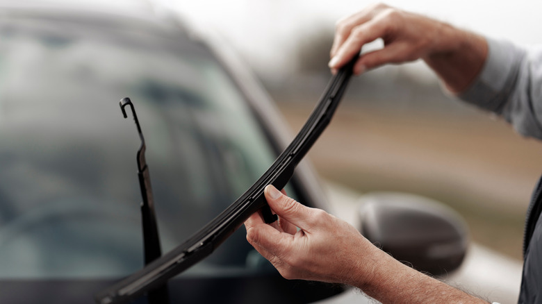 Person displaying a windshield wiper