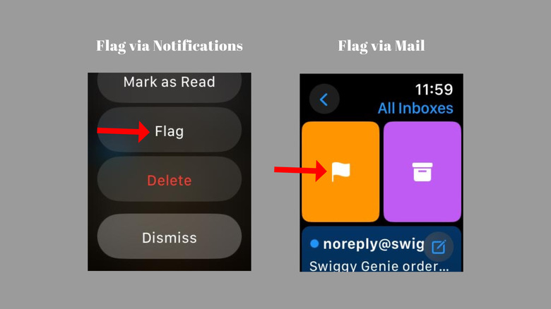 option to flag emails on Apple Watch