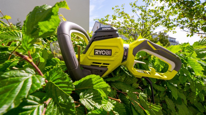 ryobi hedge trimmer used in yard