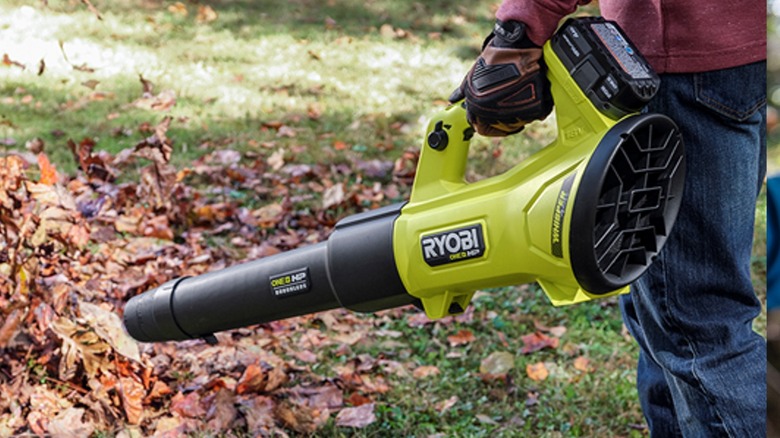 Leaf blower blowing leaves