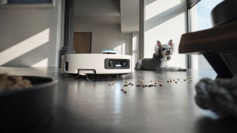 The Dreame Aqua10 Ultra Roller detecting dog food on the ground.
