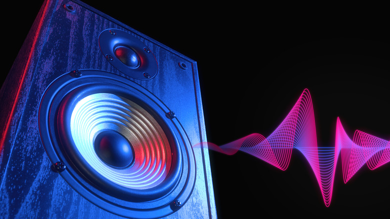 large speaker