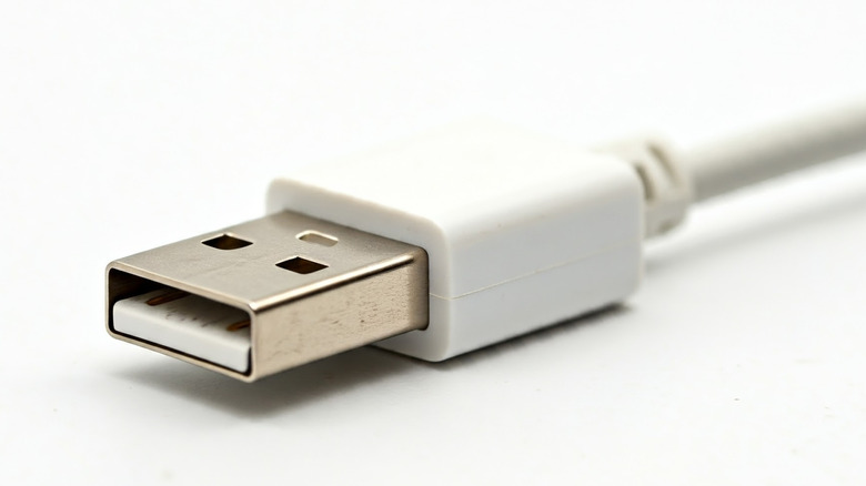 White USB cable on white background