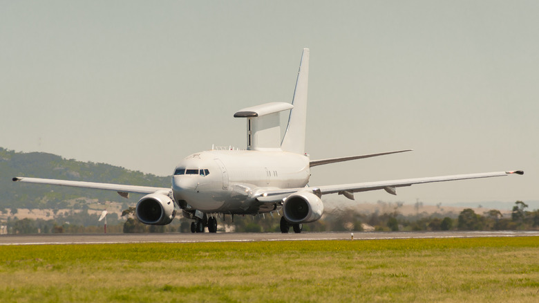 White plane with large wedge on top on a runway. Grass in the foreground.