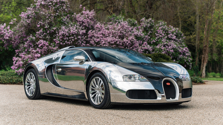 Bugatti Veyron Pur Sang model