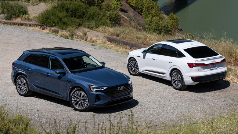 Front view and rear view of Audi Q8 E-Tron models by a river