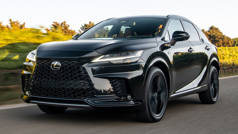 Black Lexus RX road