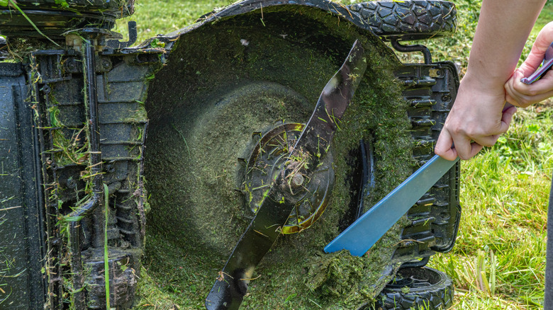 Cleaning underneath lawn mower blades on a sunny day