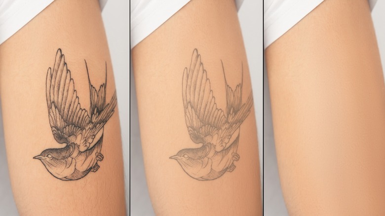 Disappearing bird tattoo