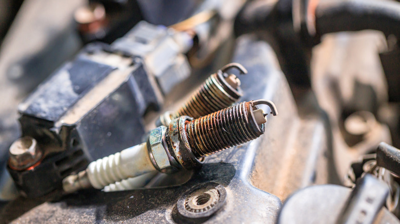 Spark plugs in engine bay