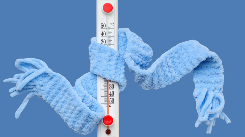 Picture showing thermometer wrapped in scarf