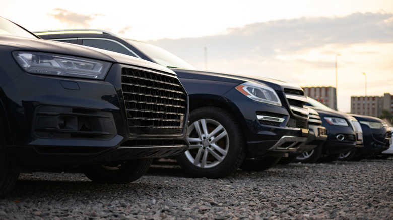 A row of dark-colored SUVs parked outside on a gravel lot