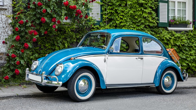 Volkswagen Bug parked on a street
