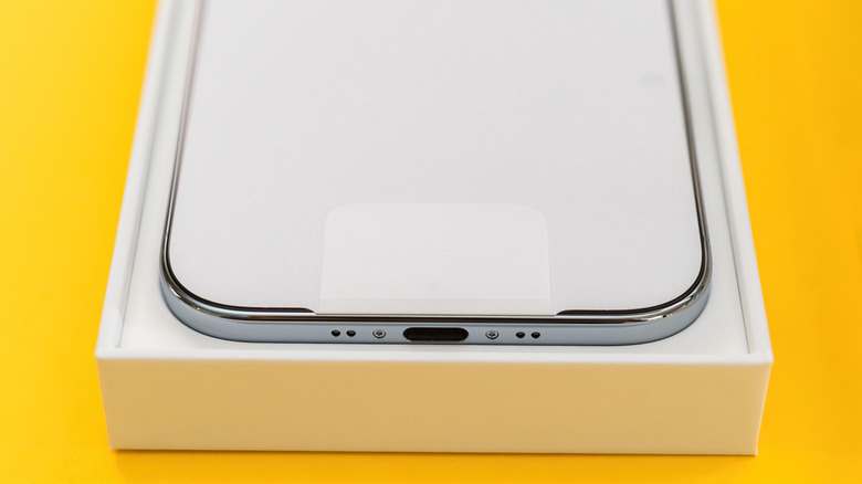 Picture displaying USB-C port on iPhone