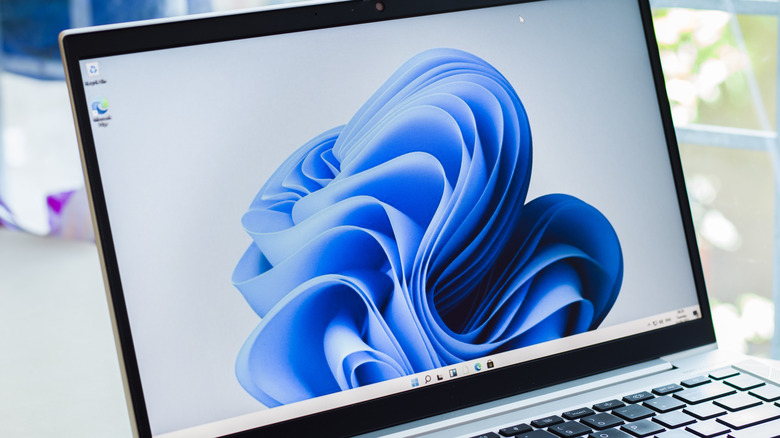 Windows 11