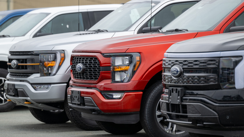 Ford trucks lined up