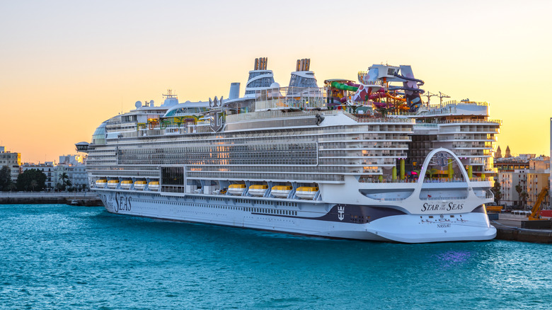 star of the seas cruise ship