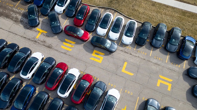 Many Teslas in a parking lot