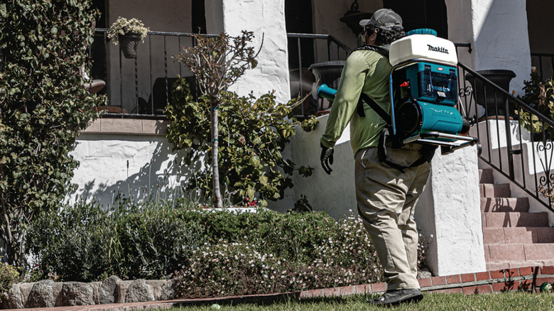 Person using a Makita 40V backpack blower spraying plants