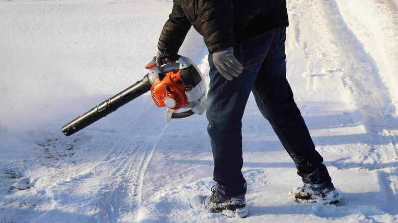 Person using a leaf blower