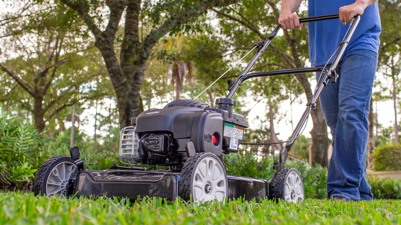 Murray 20-inch Gas Push Lawn Mower 152506 in use