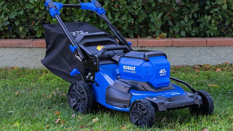 Kobalt KPM 1040A-03 on grass with bushes in the background