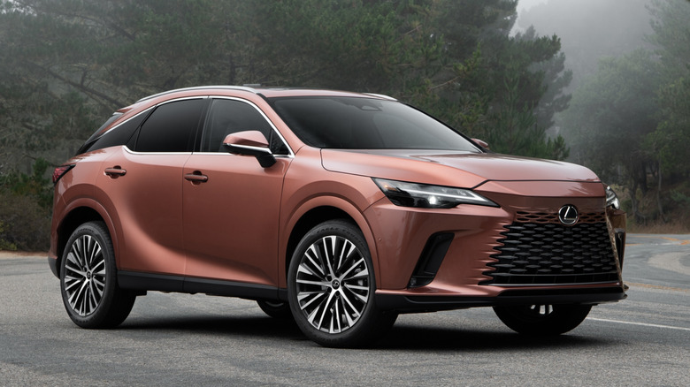 Front  right view of  gold Lexus RX on wooded road