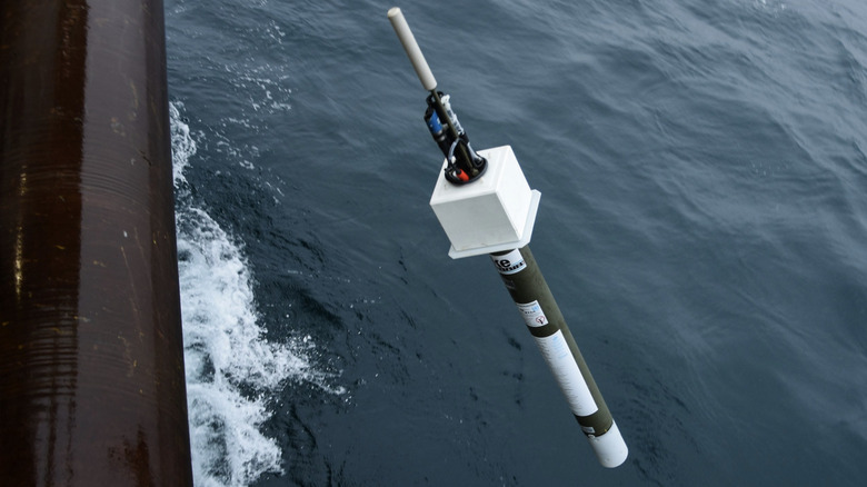 Pushing Biogeochemical (BGC)-Argo flaot in water.