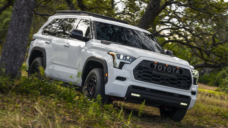 Front 3/4 view of Toyota Sequoia in wooded setting