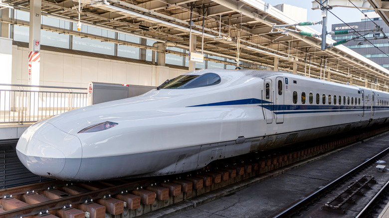 A white bottle-nosed train with a blue flash on the side inside a train station