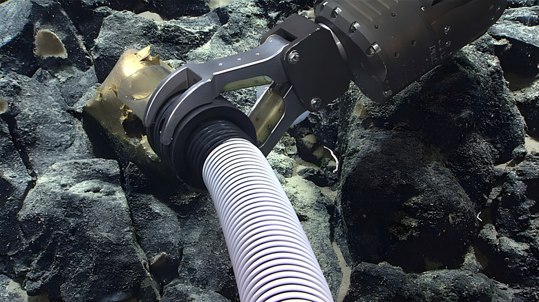 Pincer apparatus and tube recovering golden unidentified ocean specimen from sea floor rocks