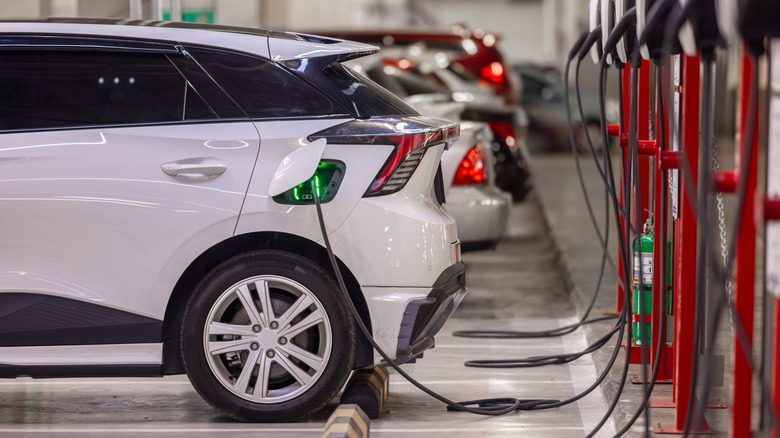 Multiple electric cars plugged into chargers