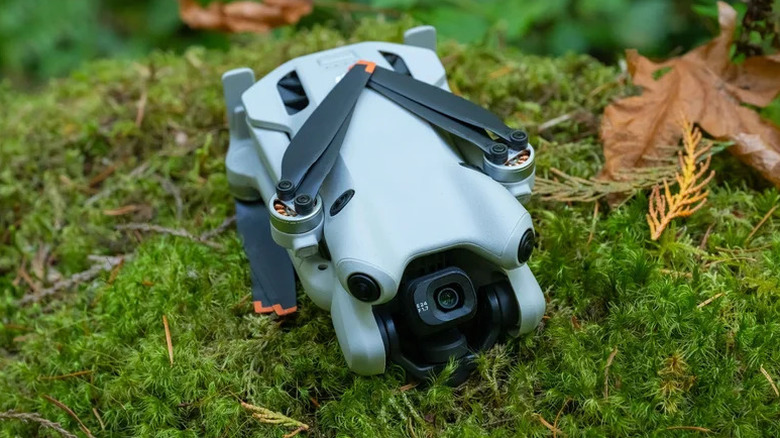 The DJI Mini 4 Pro on a bed of moss