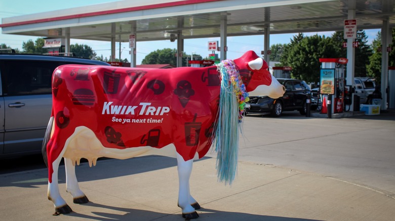 A cow statue with a Kwik Trip logo in front of Kwik Trip gas pumps