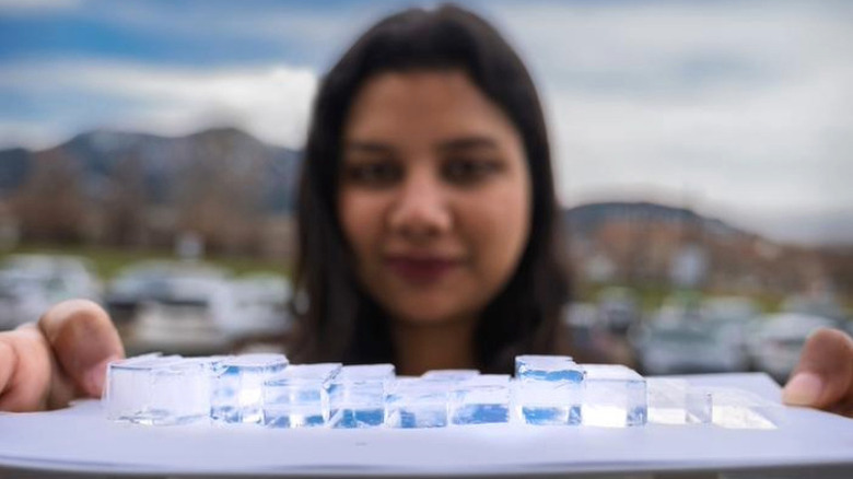 A female researcher holding up a white tray with MOCHI displayed in various sizes