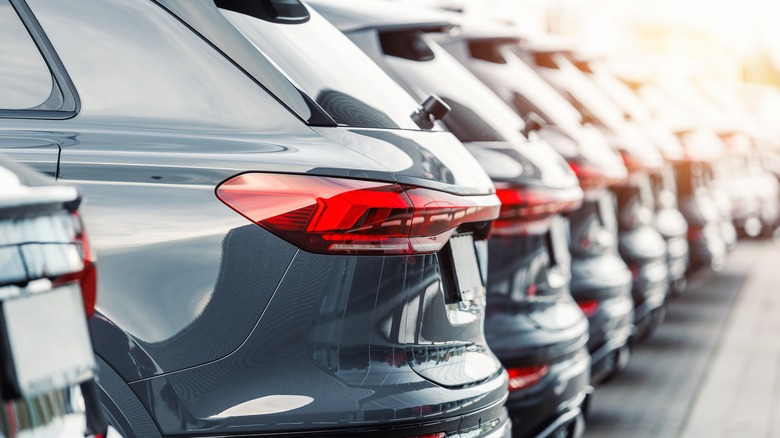 Rear view of multiple SUVs lined up outdoors