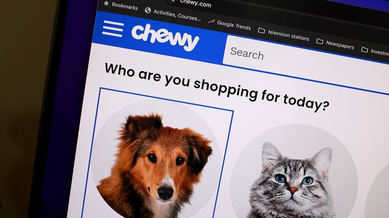 A laptop with Chewy.com open and photos of a dog and a cat displayed