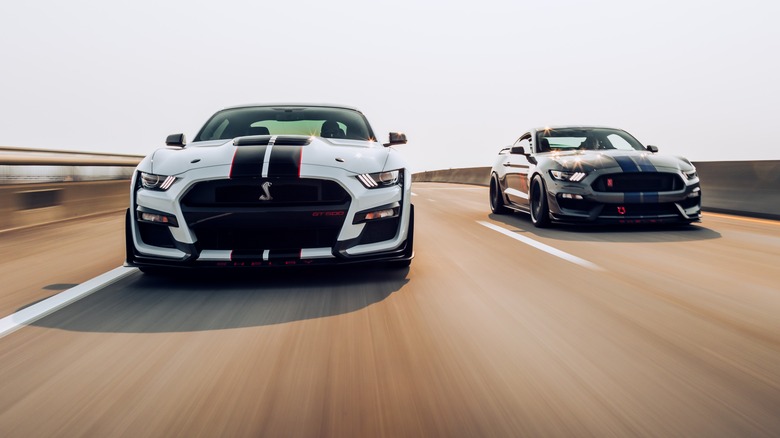 Two Shelby Ford Mustangs driving along an open road, white GT500 on the left, gray GT350 on the right