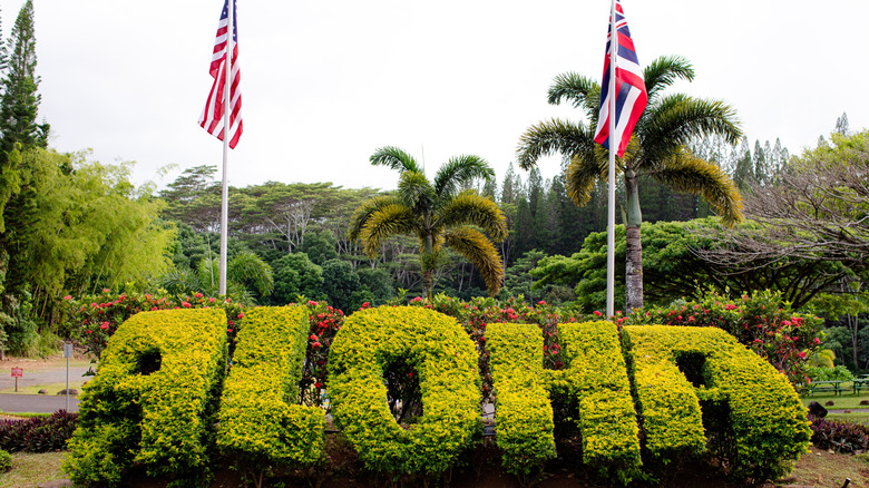 Aloha carved out of a bush, with American and Hawaiian flags