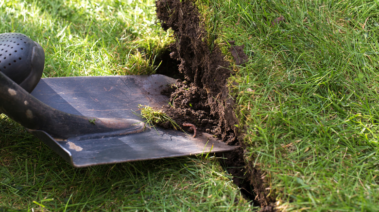 A man standing on a shovel sticking it into the lawn.