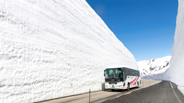 A bus seen against the giant walls of snow in the Tateyama Kurobe Alpine Route