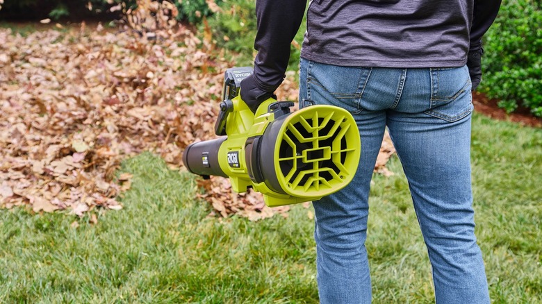 Ryobi jet blower back