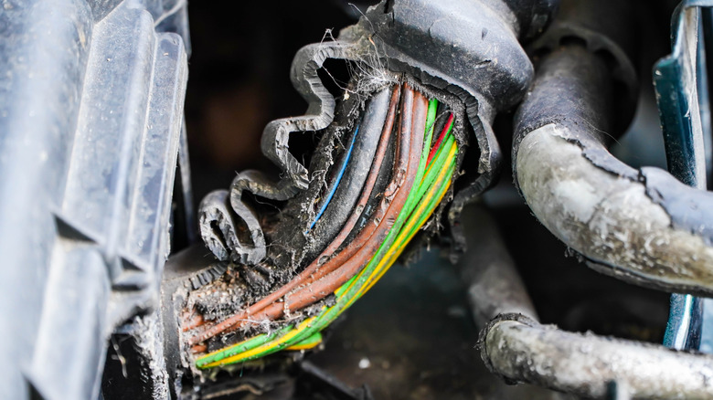 Wires damaged by mice