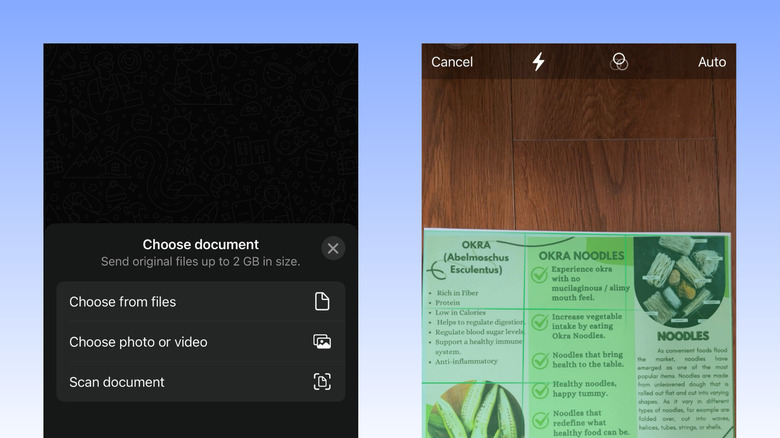 WhatsApp document scanner on iPhone