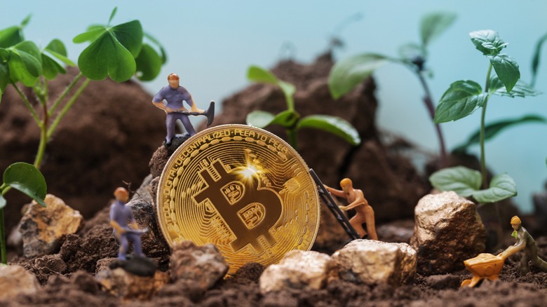 Cryptocurrency and the environment