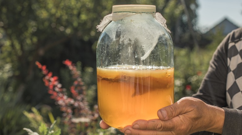 person holding cider in jar