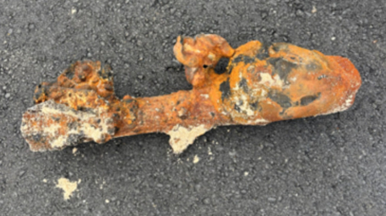 A "Super Bazooka" found at Assateague Island National Seashore